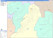 Diamond Bar  Wall Map Color Cast Style